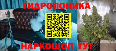 PSILOCYBIN Новодвинск