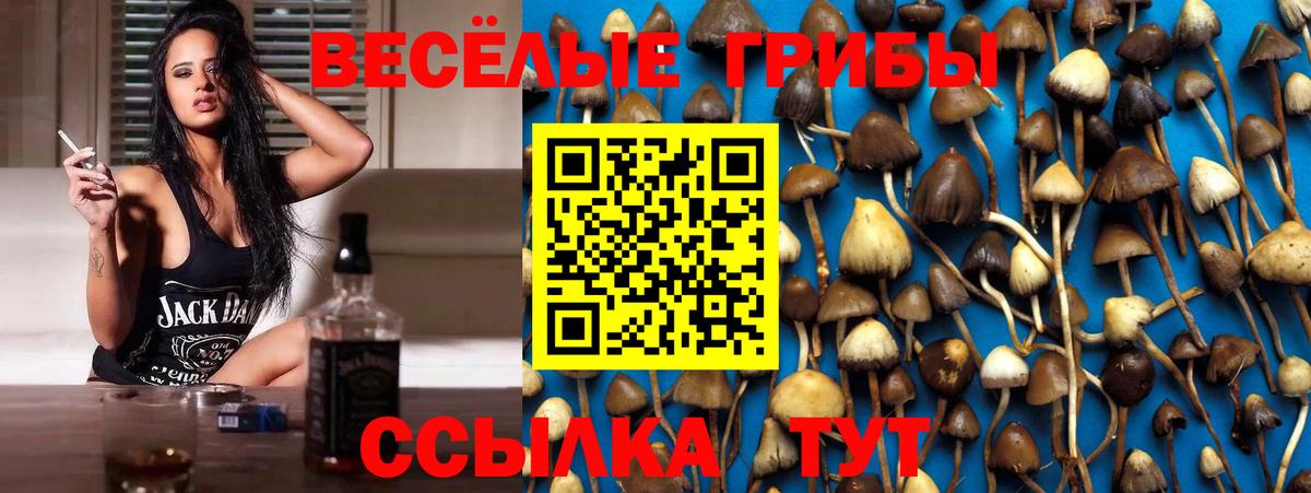 Галлюциногенные грибы MAGIC MUSHROOMS Тобольск